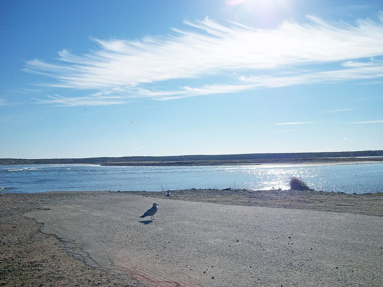 Glace Bay shoreline along South Street; area photograph, not 38 Sterling Road